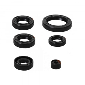 Cg200 Keçe Takımı