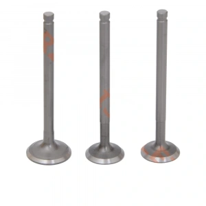 Cup Subap Takımı Lifan 3 Subap