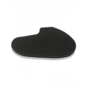 Hava Filtresi Bluberry -Revival