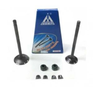 Subap Takımı Ybr 125 DQ