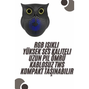 Bluetooth Hoparlör TWS Kablosuz RGB Işıklı Dekoratif Taşınabilir Baykuş