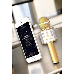 Şarjlı ve Uzun Pil Ömürlü Karaoke Mikrofon USB Bellek Destekli, Profesyonel Ses