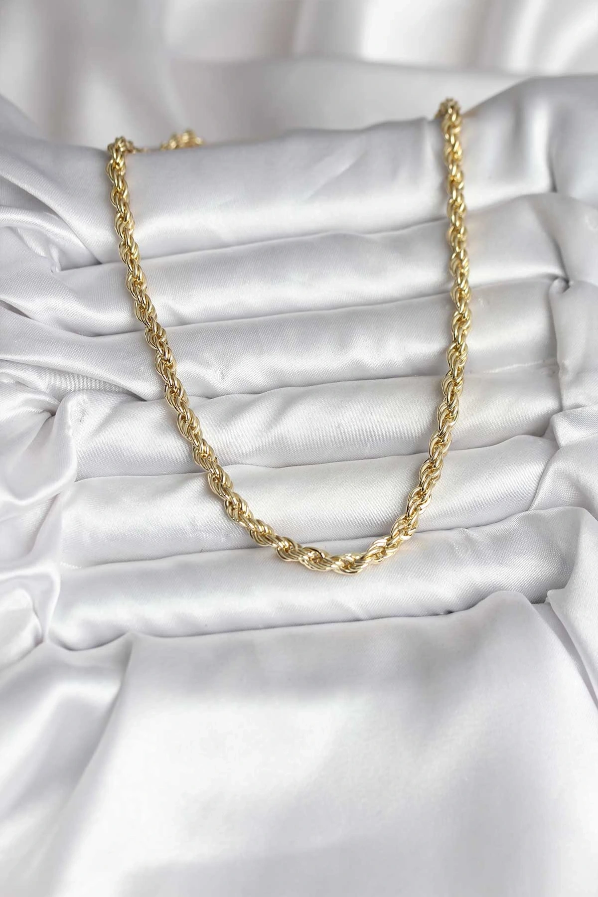 14K Gold Renk Kaplama Burgu Model CM Kadın Kolye