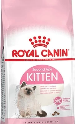36 Yavru Kedi Maması 2 KG