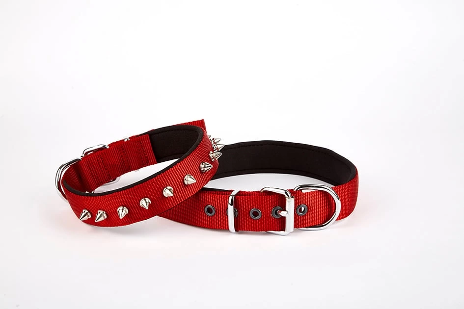 Çivi Desenli Köpek Tasması 2,5*60 cm Kırmızı
