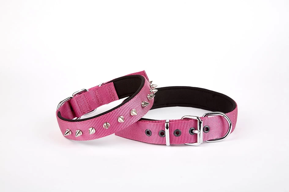Çivi Desenli Köpek Tasması 2,5*60 cm Mor