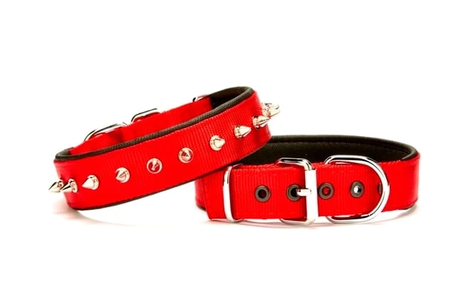 Çivi Desenli Köpek Tasması 3*65 cm Kırmızı
