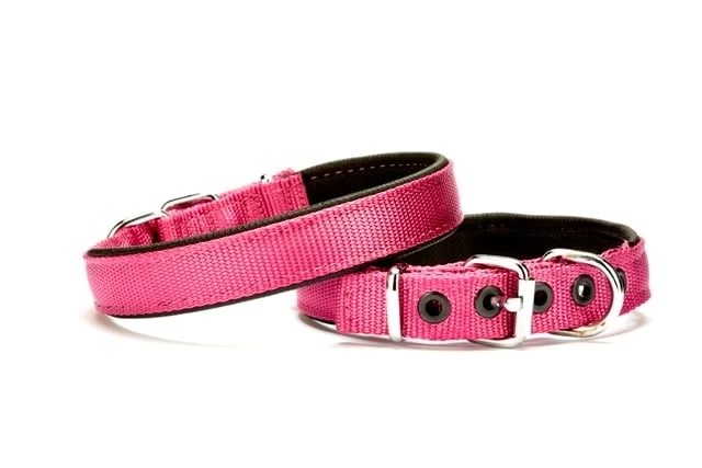 Dokuma Softlu Köpek Boyun Tasması 2 cm x 45 cm Mor