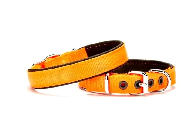 Dokuma Softlu Köpek Boyun Tasması 2 cm x 45 cm Turuncu