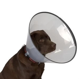Kedi Köpek Yakalığı 12,5 CM