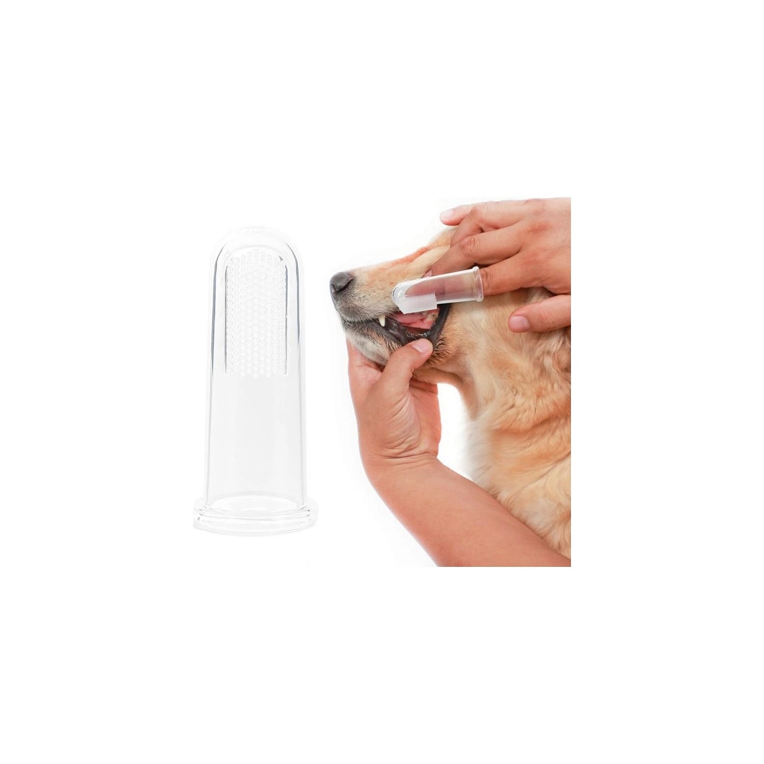 Kedi ve Köpek Parmak Diş Fırçası 5.5 cm Mavi