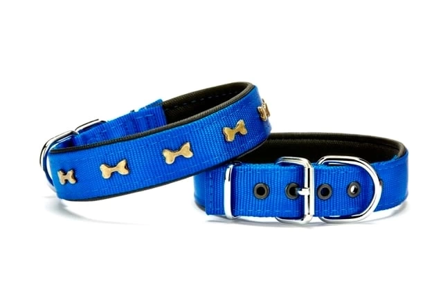 Kemik Metal Süslü Köpek Tasması 3*55 cm Medium Mavi