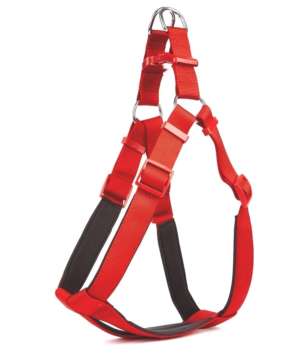 Köpek Bel Tasması 3cm-75 x 85 cm 3X-Large Kırmızı