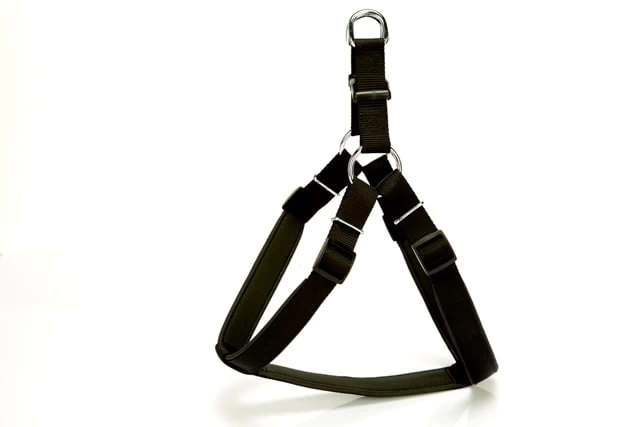 Köpek Bel Tasması 70cm Large Siyah