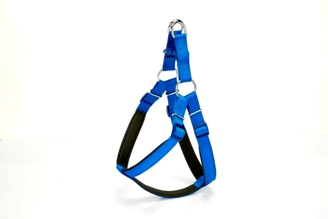 Köpek Bel Tasması 85 cm Mavi