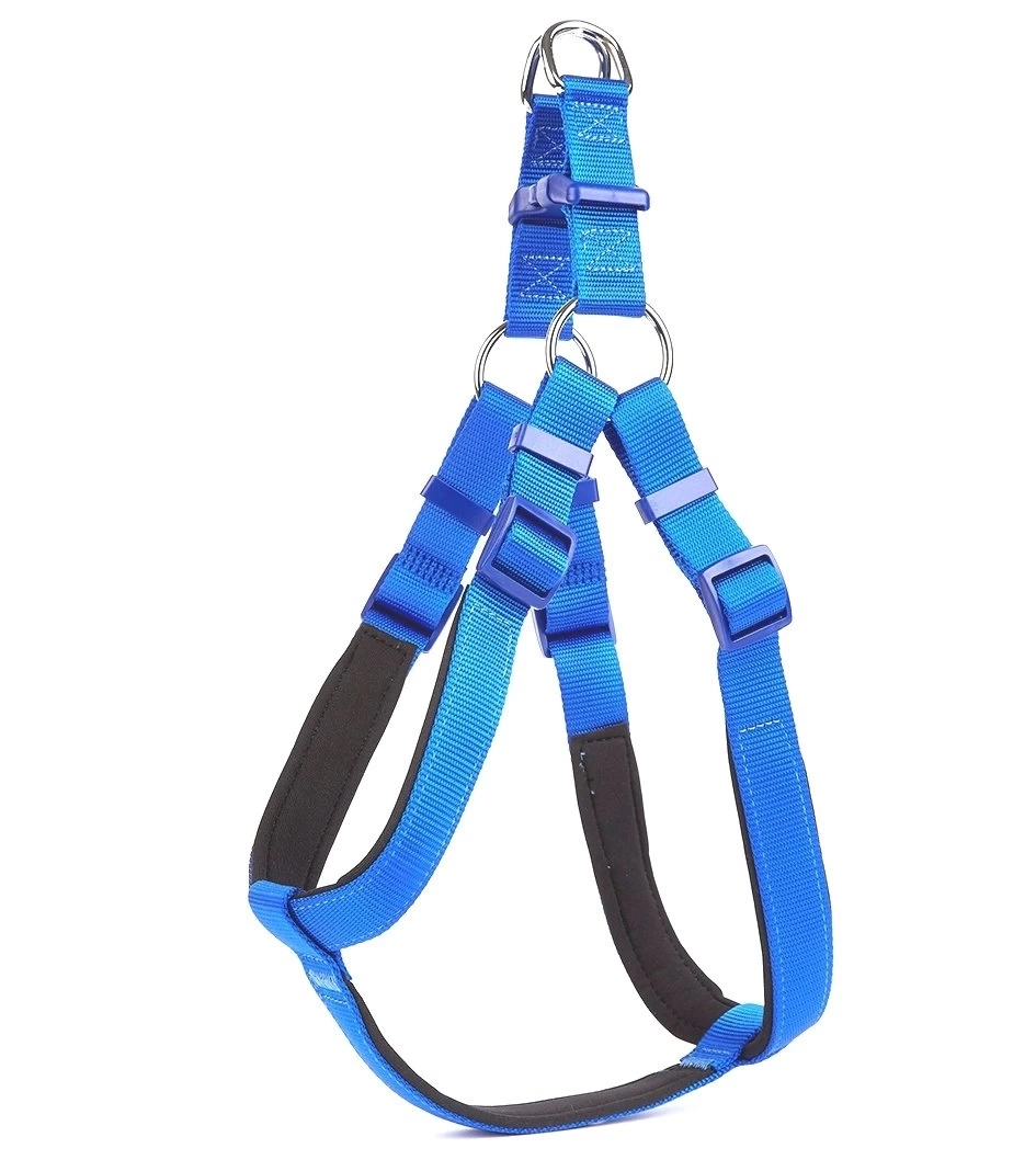 Köpek Bel Tasması 85 cm Mavi