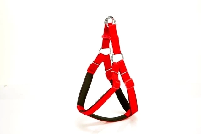 Köpek Bel Tasması 85cm X-Large Kırmızı