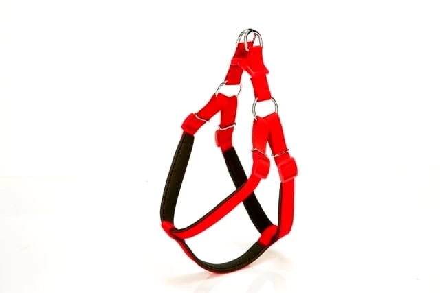 Köpek Bel Tasması 95cm XX-Large Kırmızı