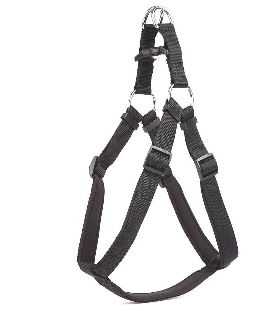 Köpek Bel Tasması 95cm XX-Large Kırmızı