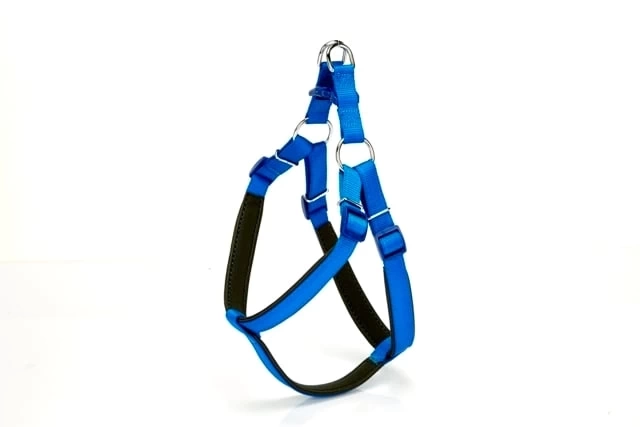Köpek Bel Tasması 95cm XX-Large Mavi