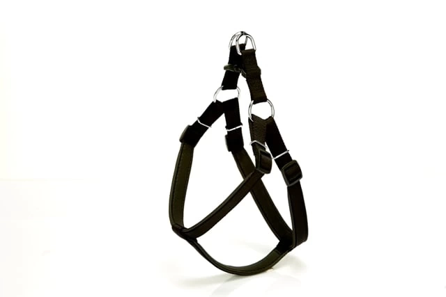 Köpek Bel Tasması 95cm XX-Large Siyah