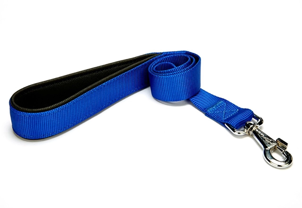 Köpek Gezdirme Kayışı 1,5 cm x 115 cm Mavi