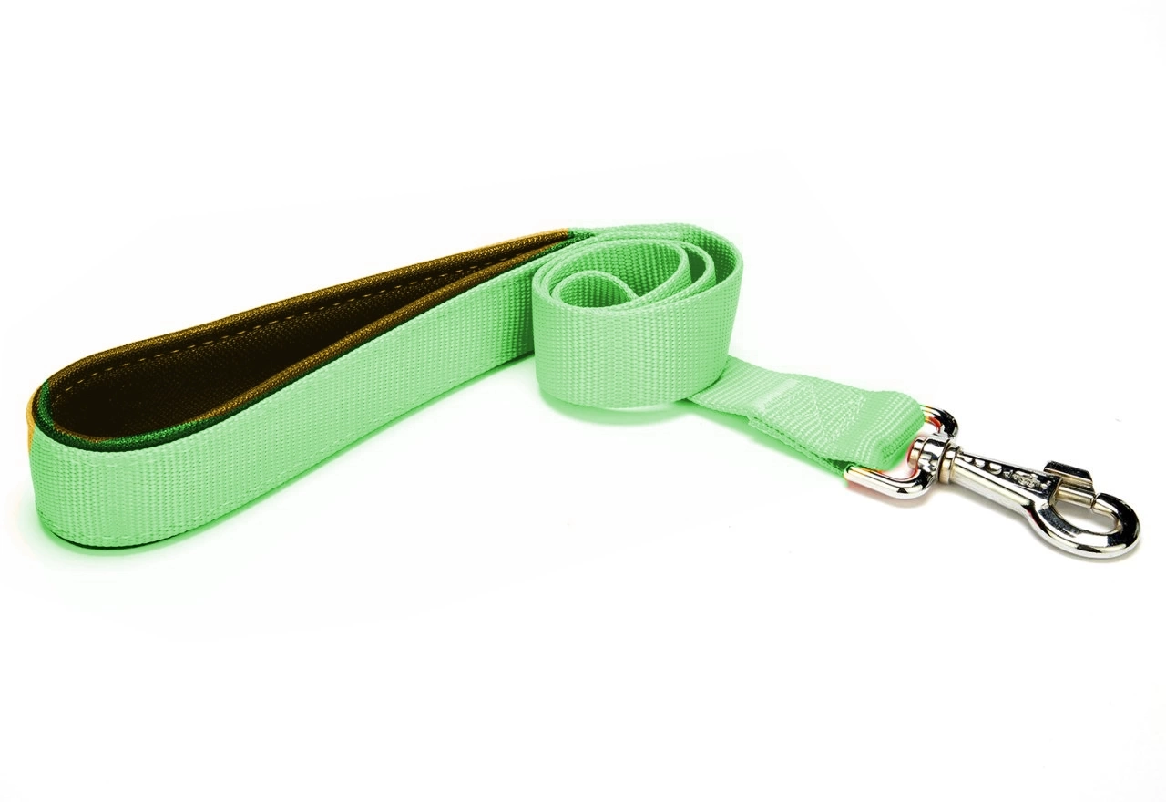 Köpek Gezdirme Kayışı 2 cm x 115 cm Yeşil