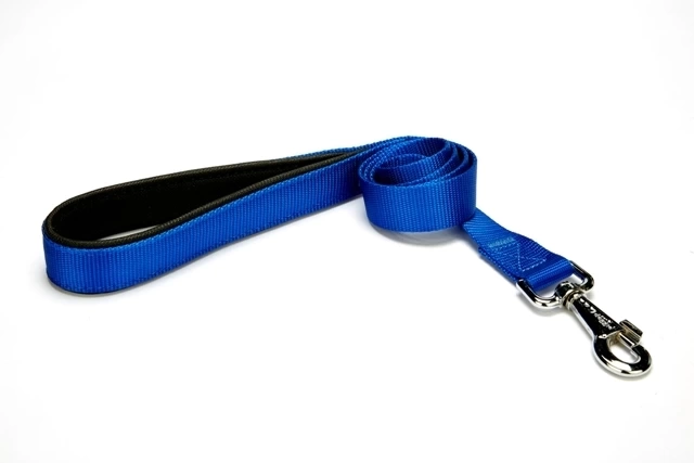 Köpek Gezdirme Kayışı 2,5*120 cm Mavi