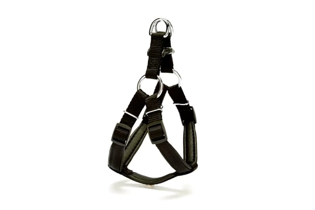 Köpek Göğüs Tasması 35cm X Small