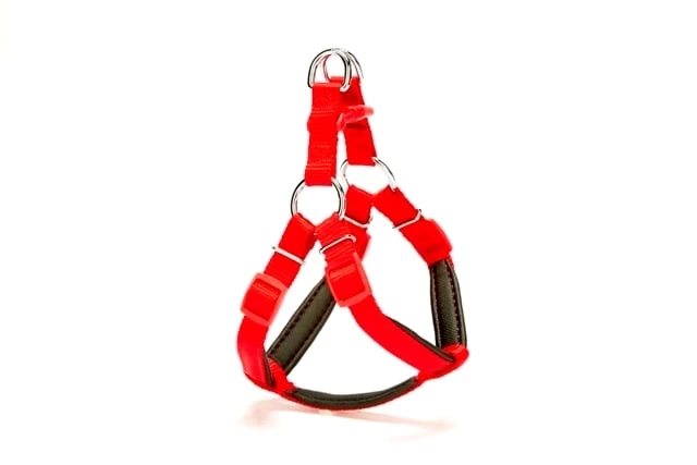 Köpek Göğüs Tasması 35cm XSmall