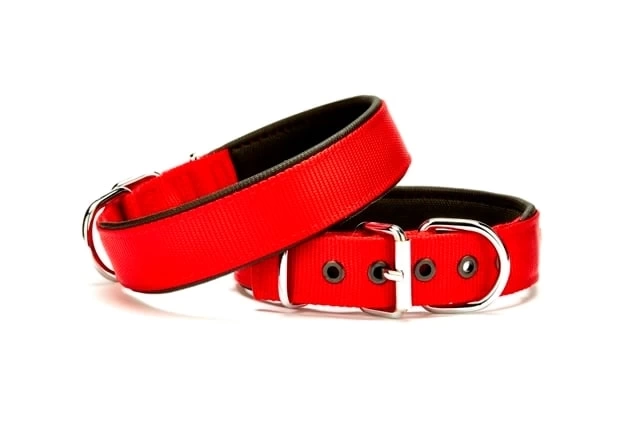 Köpek Tasması Softlu 3 cm x 65 cm Kırmızı