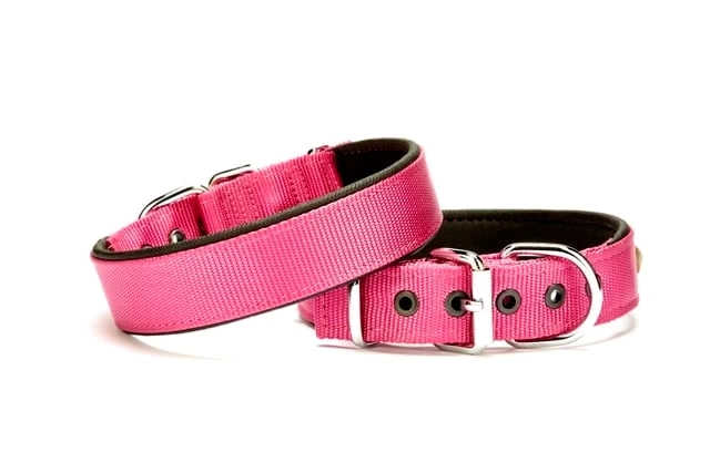 Köpek Tasması Softlu 3 cm x 65 cm Mor