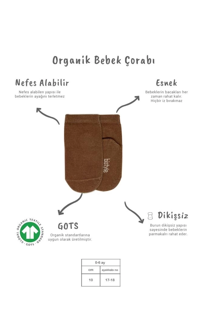 Nessiworld Bistyle 5li Penye Soket Kutulu Basic Çorap 10131 Bej
