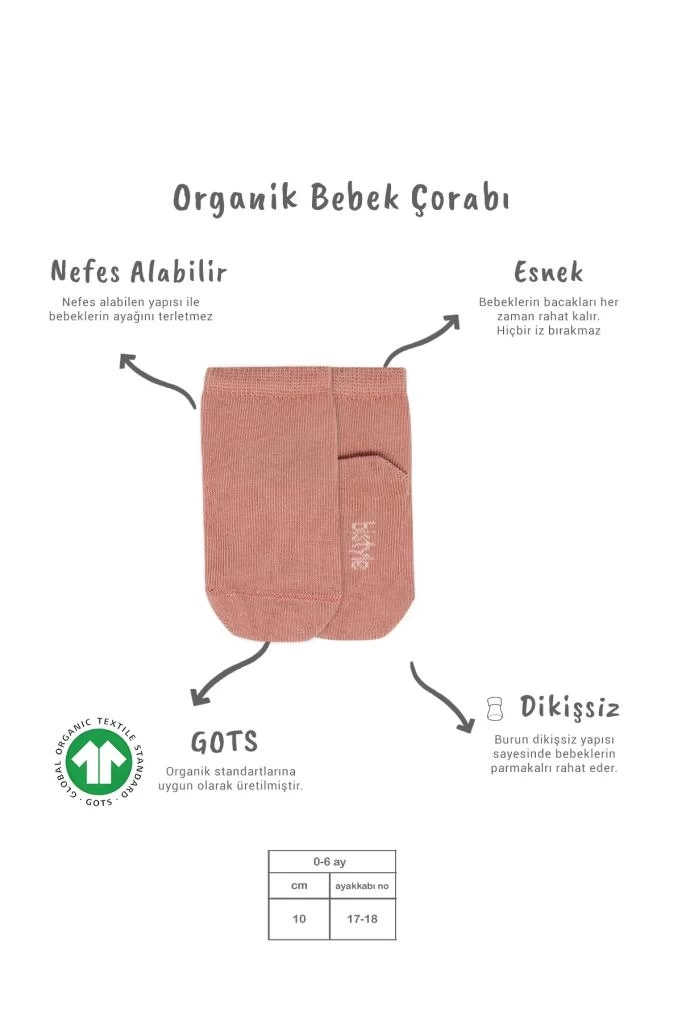 Nessiworld Bistyle 5li Penye Soket Kutulu Basic Çorap 10131 Pudra