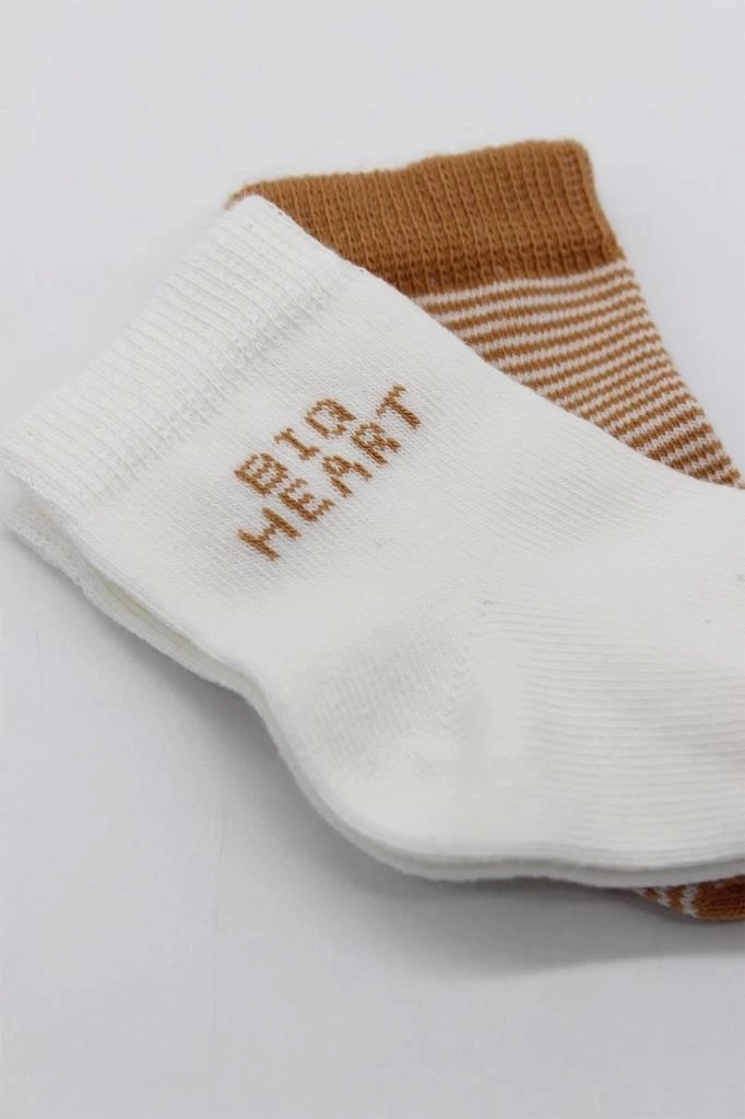 Nessiworld Bistyle Big Heart Penye Soket Çorap 2Li BS10117 Hardal
