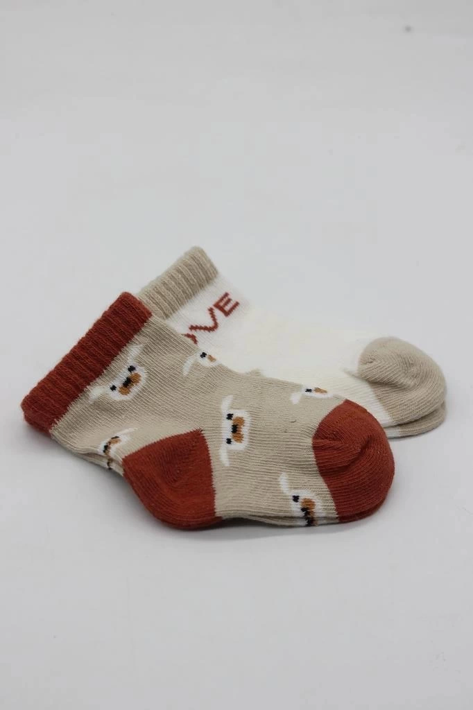 Nessiworld Bistyle Love Dog Penye Soket Çorap 2Li BS10118 Bej
