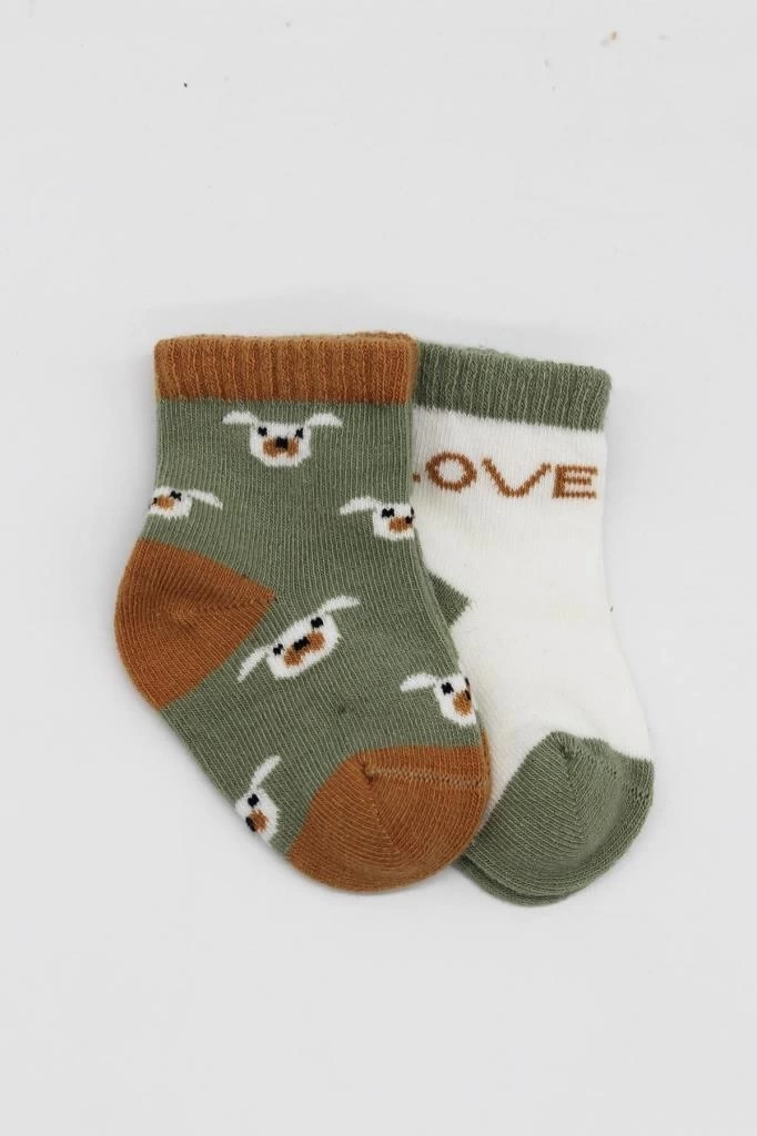 Nessiworld Bistyle Love Dog Penye Soket Çorap 2Li BS10118 Nil