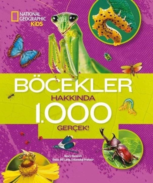 Nessiworld Böcekler Hakkında 1000 Gerçek!