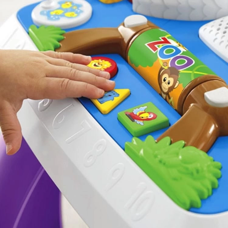 Nessiworld  Fisher Price Eğitici Köpeğin Aktivite Masası