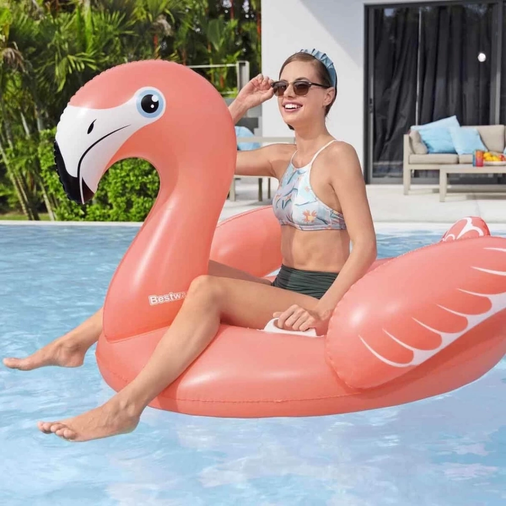 Nessiworld Flamingo Şişme Bot 41526