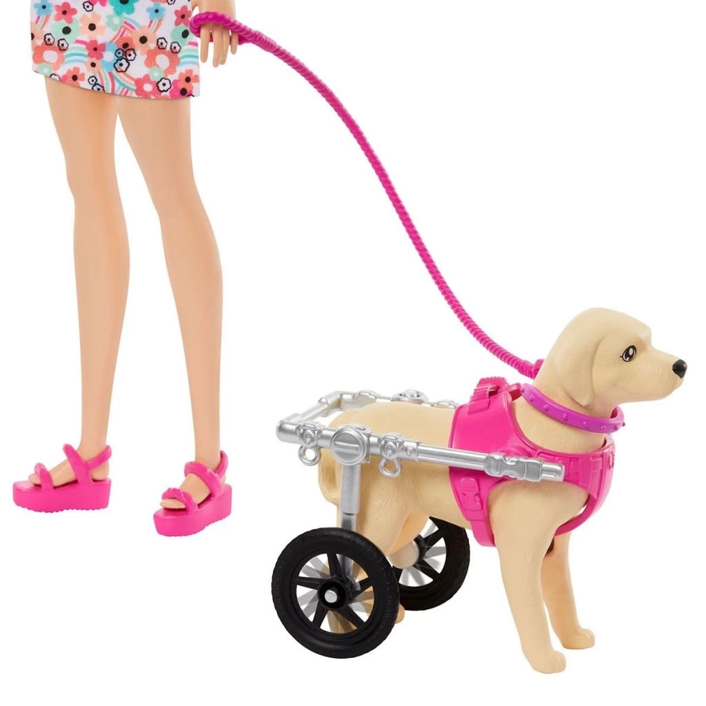 Nessiworld  HTK37 Barbie ve Engelli Köpeği Oyun Seti