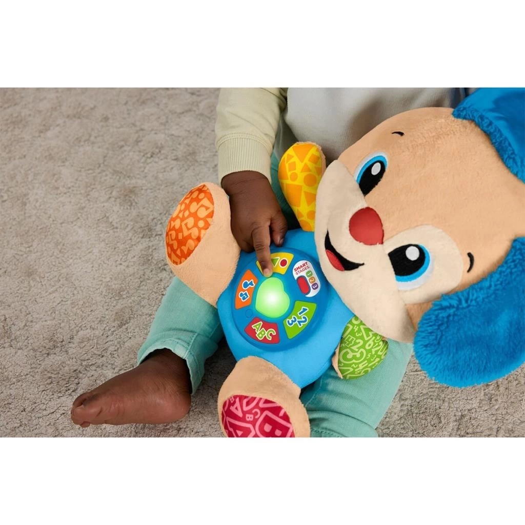 Nessiworld JFD25 Fisher Price Eğtici Köpekçik-Yaşa Göre Gelişim Türkçe
