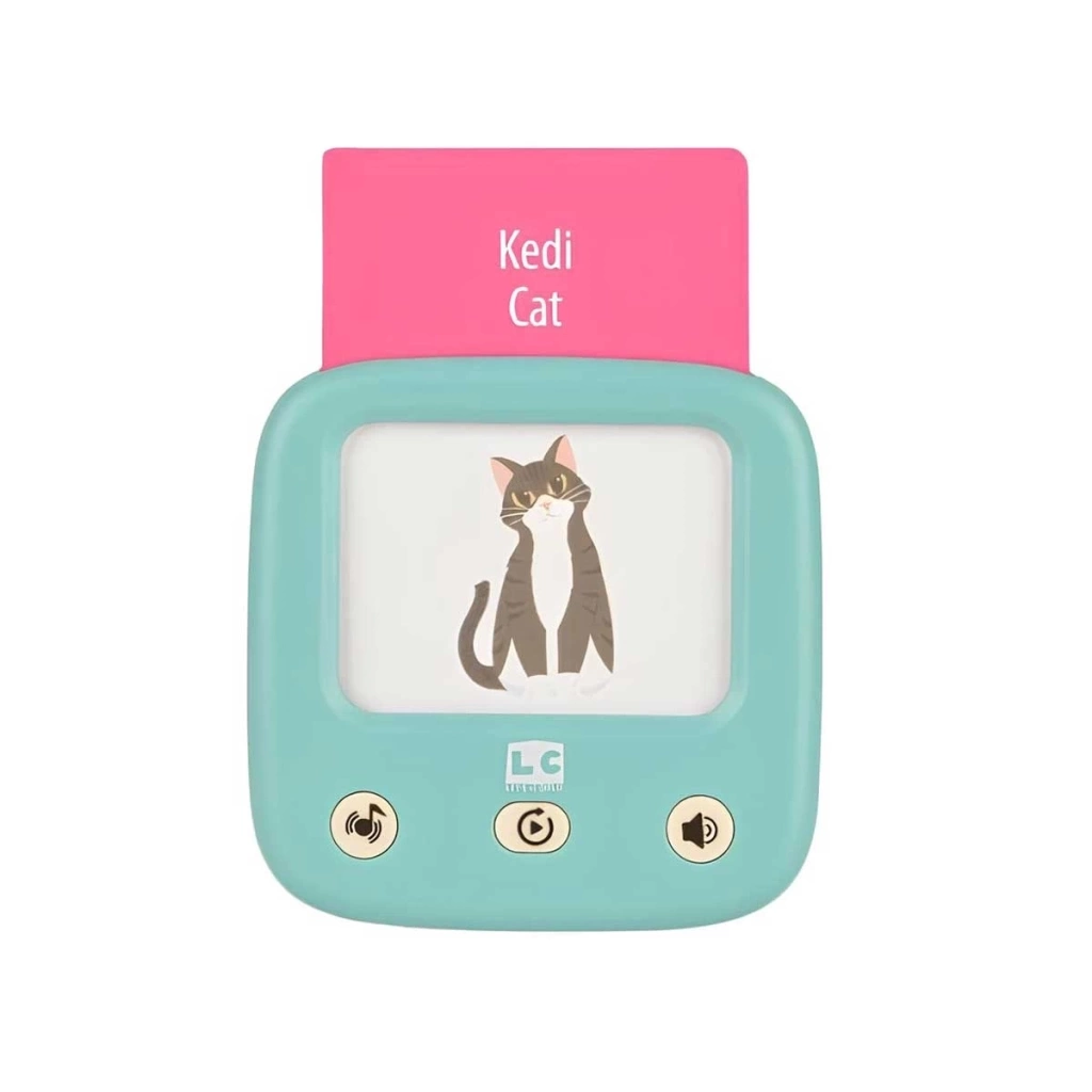 NessiWorld LC Öğretici Türkçe İngilizce Konuşan Flash Kartlar 31050