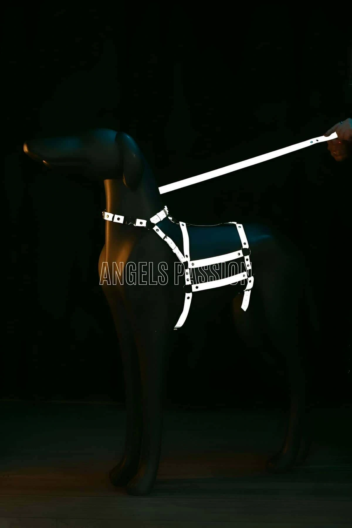 Reflektörlü - Ayarlanabilir Köpek Harness - Köpek Gezdirme Aparatı - Npd007