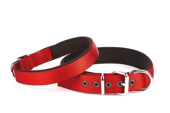 Seri Dokuma Köpek Boyun Tasması 4x57-65cm Kırmızı