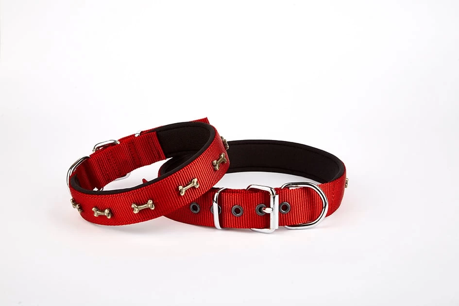 Softlu Kemik Desenli Köpek Tasması 2 cm x 40 cm Kırmızı