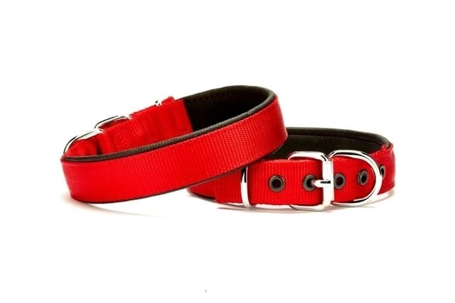 Softlu Köpek Boyun Tasması 1,5 cm x 30 cm Kırmızı