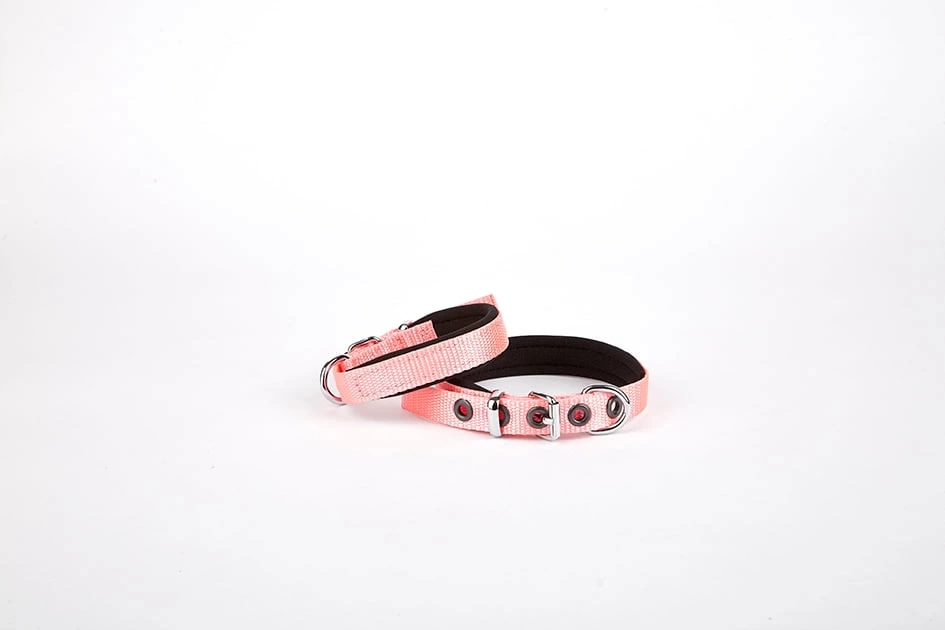 Softlu Köpek Boyun Tasması 1,5 cm x 30 cm Pembe