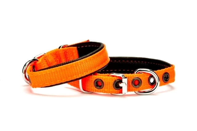 Softlu Köpek Boyun Tasması 1,5 cm x 35 cm Turuncu