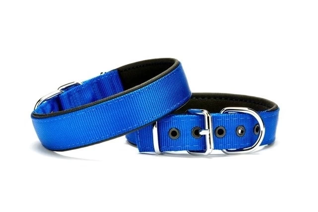 Softlu Köpek Boyun Tasması 2 cm x 40 cm Mavi